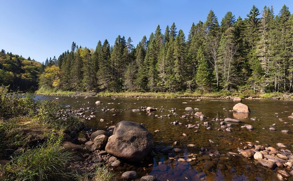 Rivière bordée de rochers et de conifères dans le parc national de la Jacques-Cartier