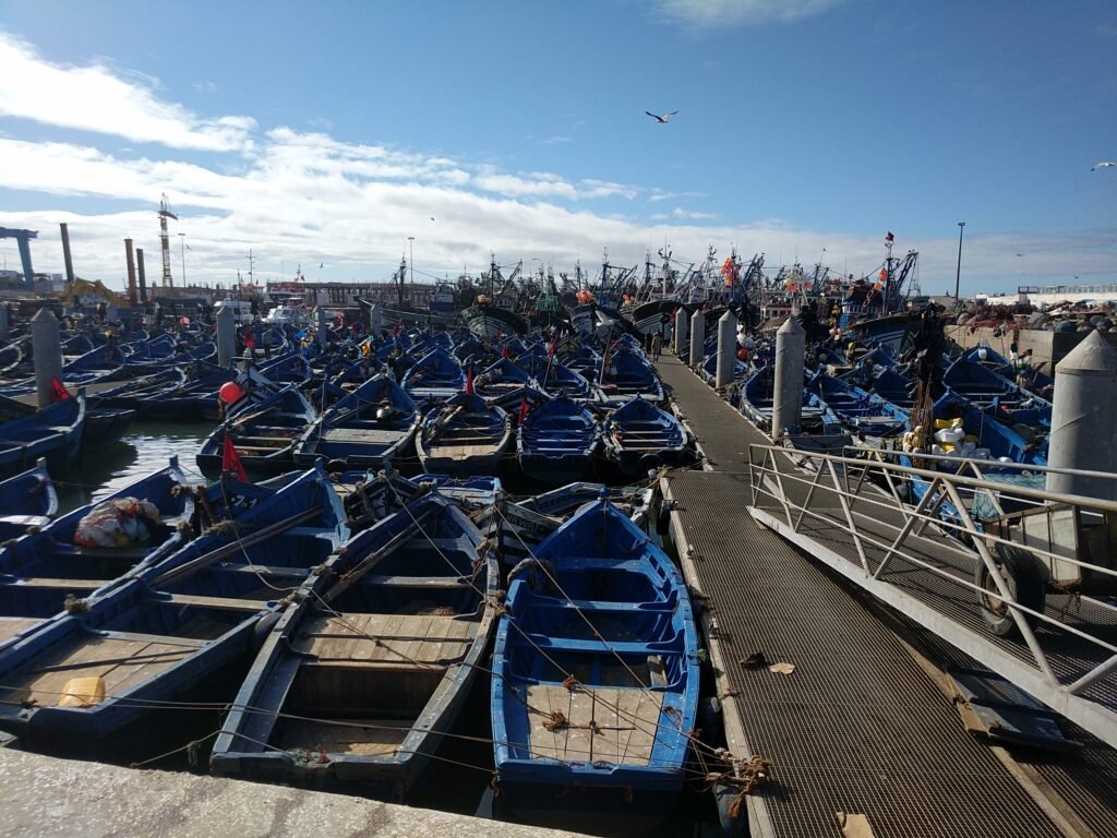 Les barques de pêche bleues dans le port d’Essaouira