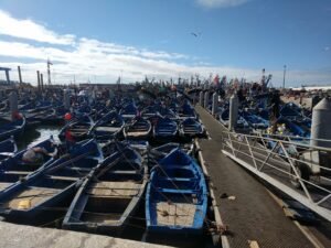 Les barques de pêche bleues dans le port d’Essaouira