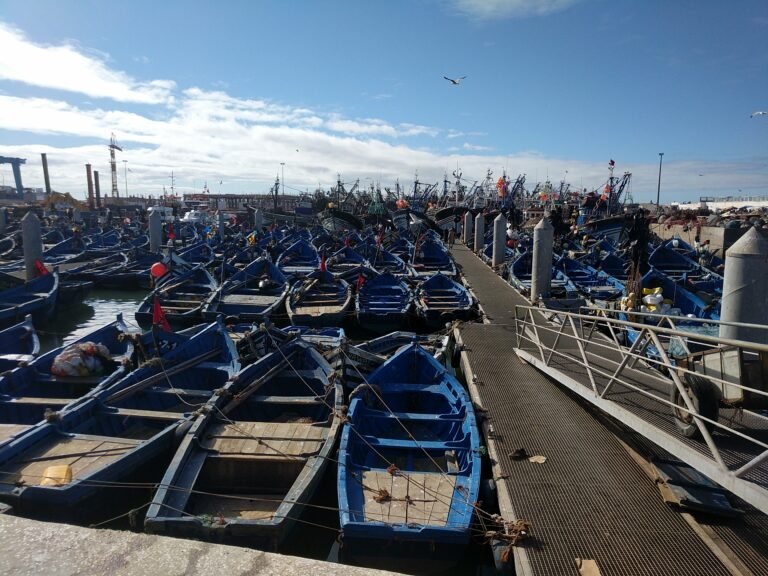 Les barques de pêche bleues dans le port d’Essaouira